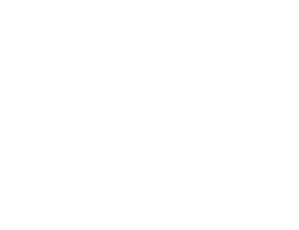 4x4 Maio — organização principal